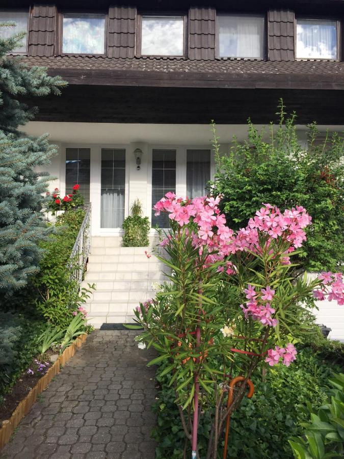 Anna Vendeghaz Eger Apartment Екстериор снимка